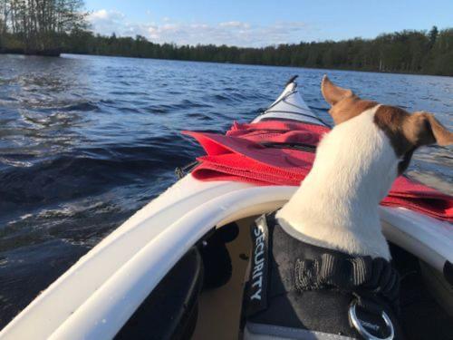 Isans Stuga Broby Exteriör bild