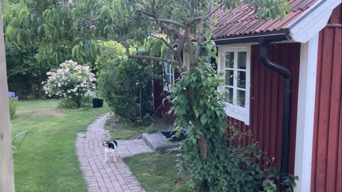 Isans Stuga Broby Exteriör bild